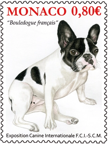 Canine-dentelure
