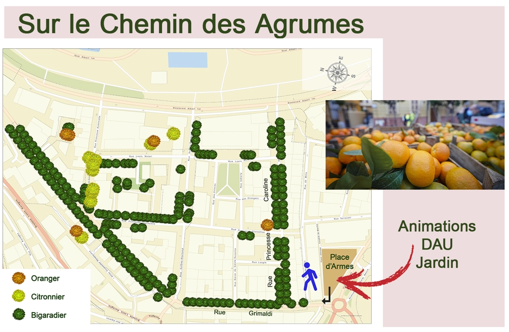 sur le chemin des agrumes