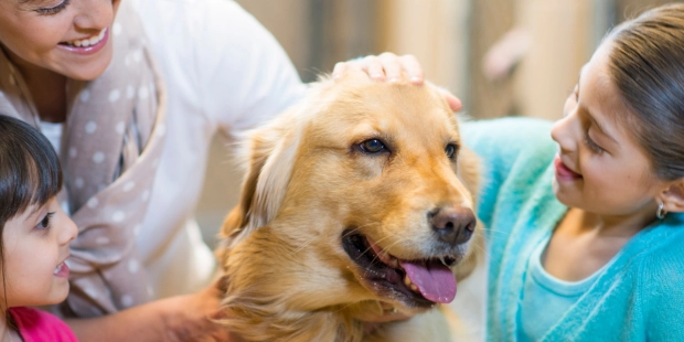 Find out more about the new SPA of Monaco animal shelter