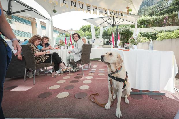 Le Centre Rainier III accueille sa première collaboratrice canine