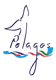 The Pelagos Sanctuary dives into the metaverse